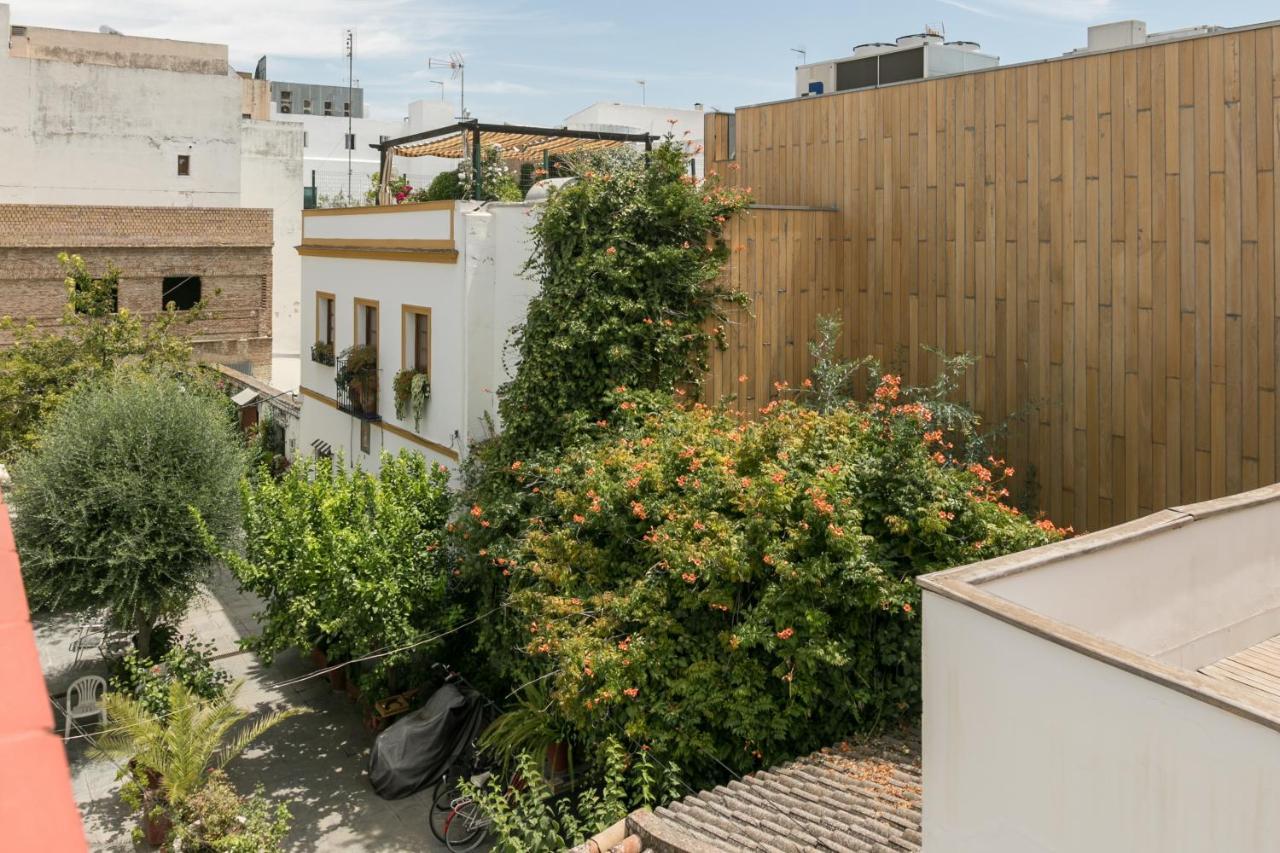 La Casa Del Alfarero Lägenhet Sevilla Exteriör bild